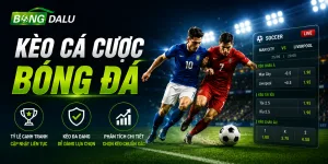Bongdalu giới thiệu kèo cá cược bóng đá